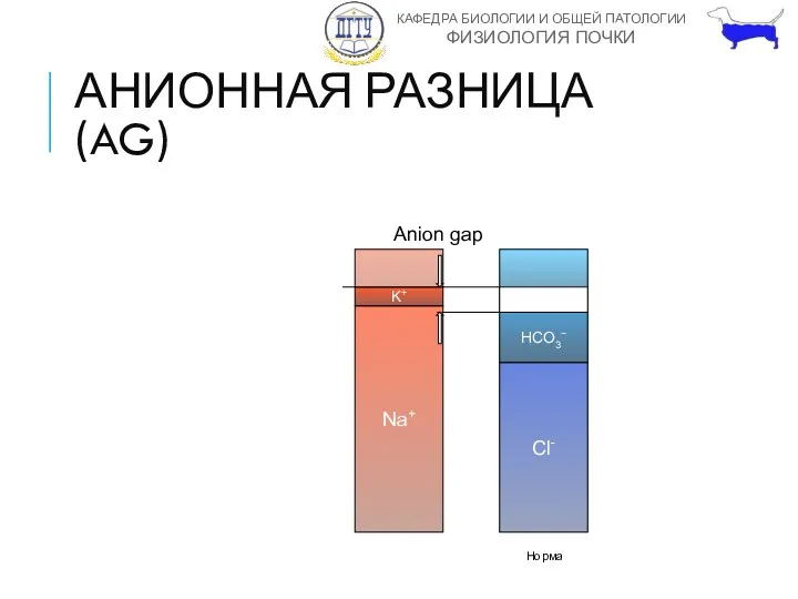 АНИОННАЯ РАЗНИЦА (AG) Норма