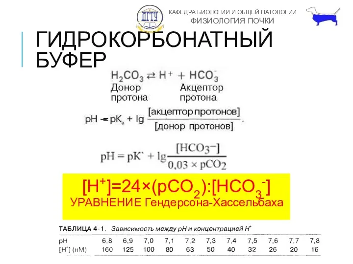 ГИДРОКОРБОНАТНЫЙ БУФЕР [H+]=24×(pCO2):[HCO3-] УРАВНЕНИЕ Гендерсона-Хассельбаха =