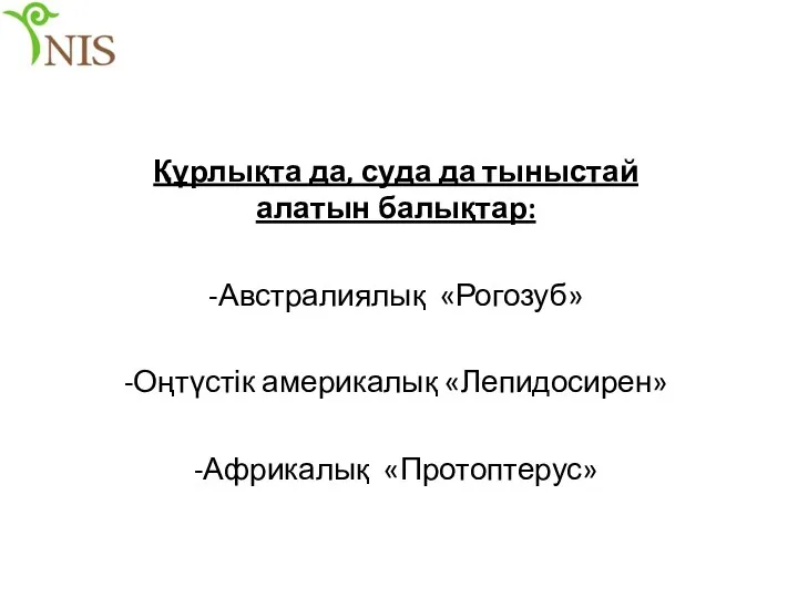 Құрлықта да, суда да тыныстай алатын балықтар: -Австралиялық «Рогозуб» -Оңтүстік америкалық «Лепидосирен» -Африкалық «Протоптерус»