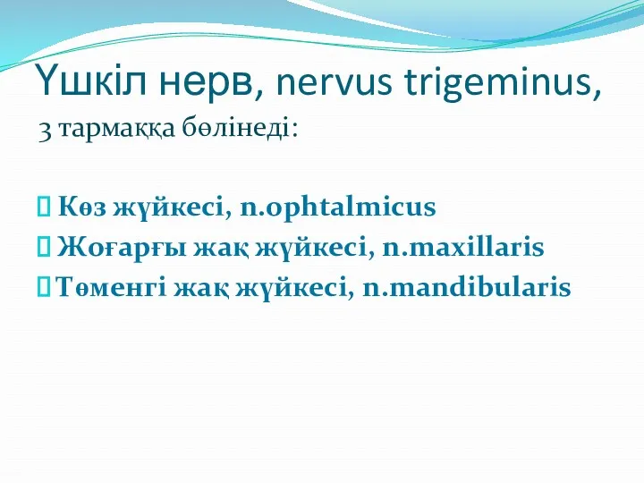 Үшкіл нерв, nervus trigeminus, 3 тармаққа бөлінеді: Көз жүйкесі, n.ophtalmicus