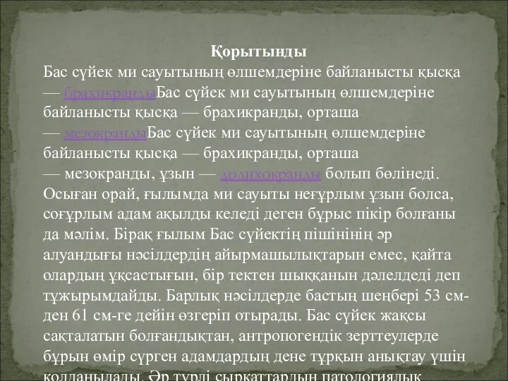 Қорытынды Бас сүйек ми сауытының өлшемдеріне байланысты қысқа — брахикрандыБас