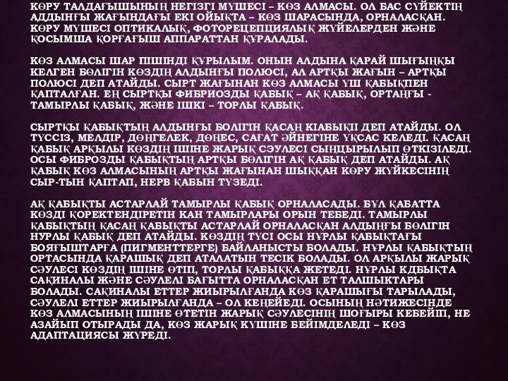 КӨРУ ТАЛДАҒЫШЫНЫҢ НЕГІЗГІ МҮШЕСІ – КӨЗ АЛМАСЫ. ОЛ БАС СҮЙЕКТІҢ