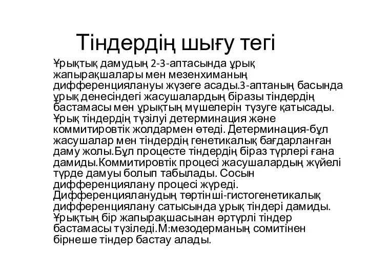 Тіндердің шығу тегі Ұрықтық дамудың 2-3-аптасында ұрық жапырақшалары мен мезенхиманың