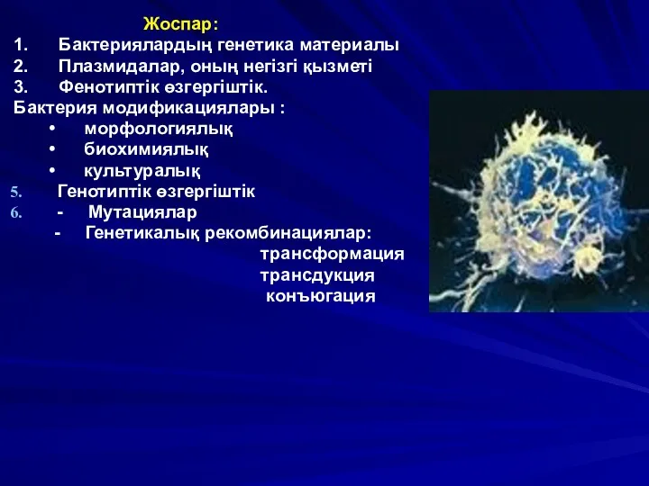 Жоспар: 1. Бактериялардың генетика материалы 2. Плазмидалар, оның негізгі қызметі