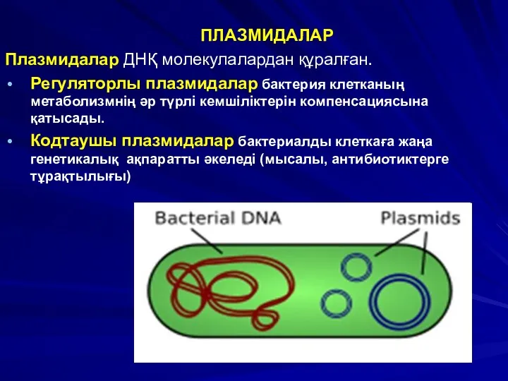 ПЛАЗМИДАЛАР Плазмидалар ДНҚ молекулалардан құралған. Регуляторлы плазмидалар бактерия клетканың метаболизмнің