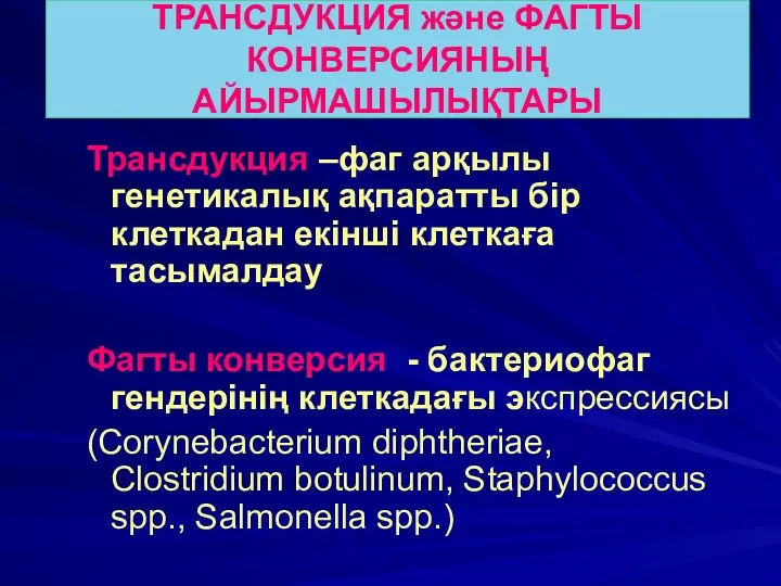 ТРАНСДУКЦИЯ және ФАГТЫ КОНВЕРСИЯНЫҢ АЙЫРМАШЫЛЫҚТАРЫ Трансдукция –фаг арқылы генетикалық ақпаратты