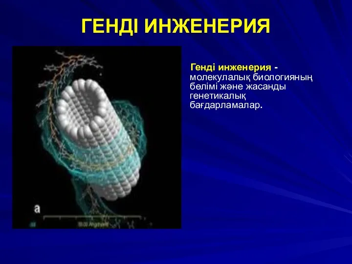 ГЕНДІ ИНЖЕНЕРИЯ Генді инженерия - молекулалық биологияның бөлімі және жасанды генетикалық бағдарламалар.