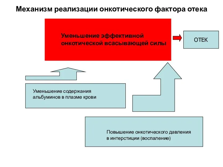 Механизм реализации онкотического фактора отека Уменьшение эффективной онкотической всасывающей силы