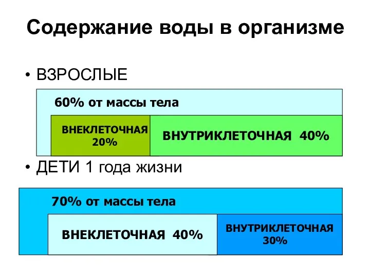 Содержание воды в организме ВЗРОСЛЫЕ ДЕТИ 1 года жизни ВНЕКЛЕТОЧНАЯ