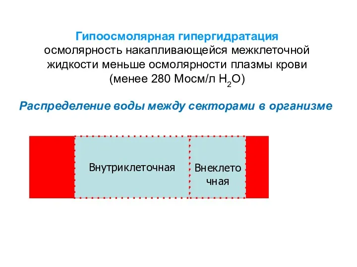 Распределение воды между секторами в организме Внутриклеточная Внеклеточная Гипоосмолярная гипергидратация