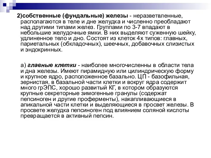 2)собственные (фундальные) железы - неразветвленные, располагаются в теле и дне