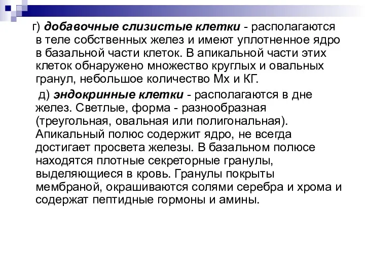 г) добавочные слизистые клетки - располагаются в теле собственных желез