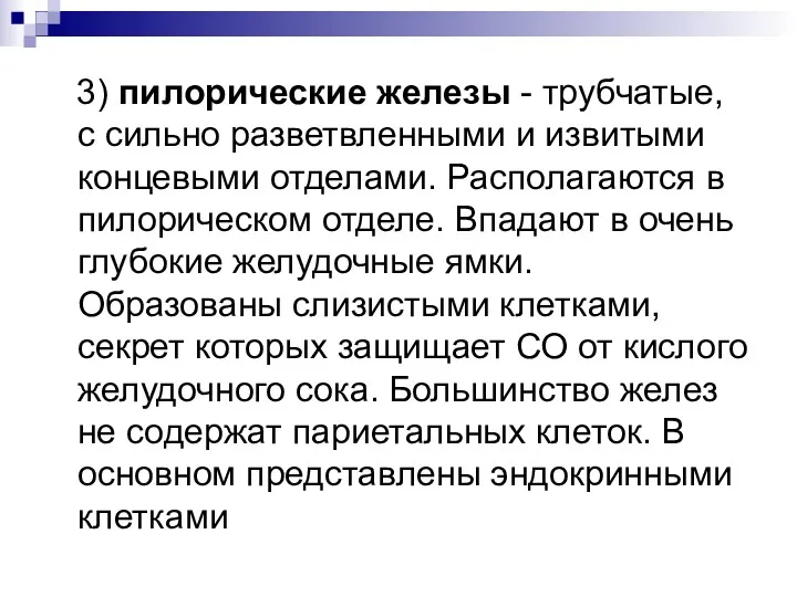 3) пилорические железы - трубчатые, с сильно разветвленными и извитыми