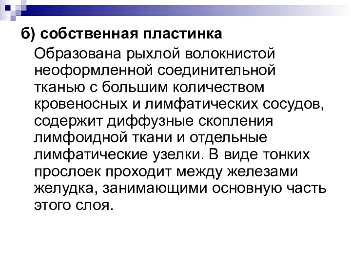 б) собственная пластинка Образована рыхлой волокнистой неоформленной соединительной тканью с