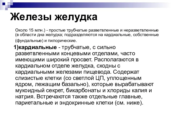 Железы желудка Около 15 млн.) - простые трубчатые разветвленные и