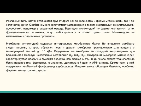 Различный типы клеток отличаются друг от друга как по количеству и форме митохондрий,