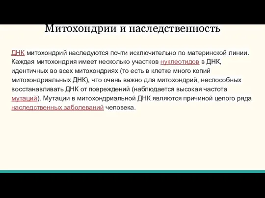 Митохондрии и наследственность ДНК митохондрий наследуются почти исключительно по материнской линии. Каждая митохондрия