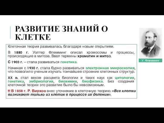 РАЗВИТИЕ ЗНАНИЙ О КЛЕТКЕ Клеточная теория развивалась благодаря новым открытиям. В 1880 г.