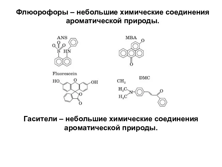 Флюорофоры – небольшие химические соединения ароматической природы. Гасители – небольшие химические соединения ароматической природы.