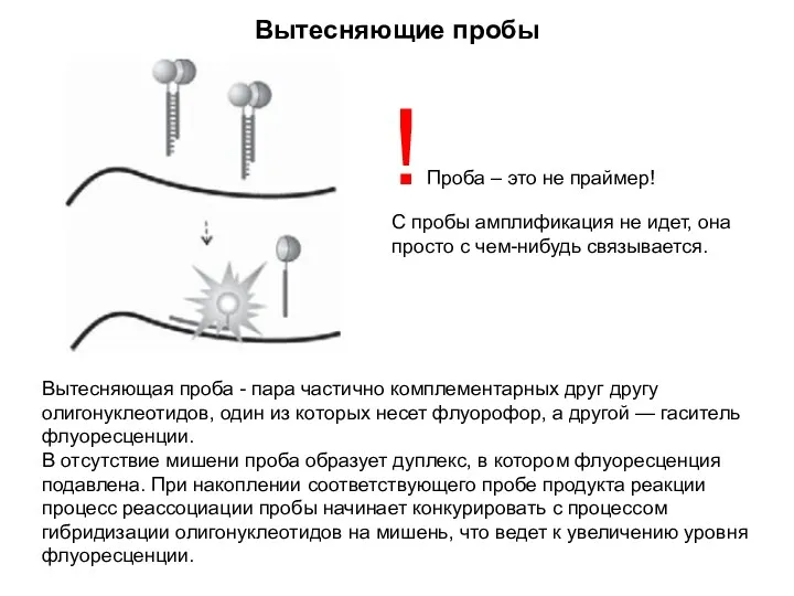 Вытесняющие пробы Вытесняющая проба - пара частично комплементарных друг другу