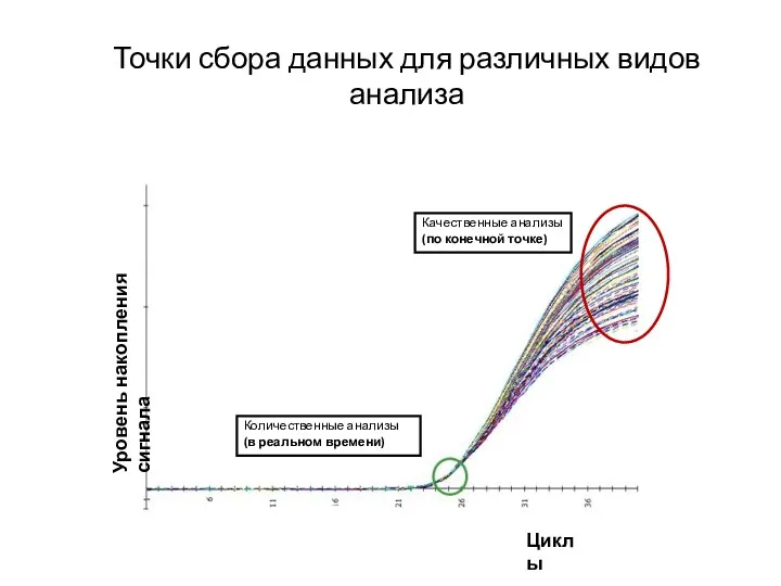 Точки сбора данных для различных видов анализа