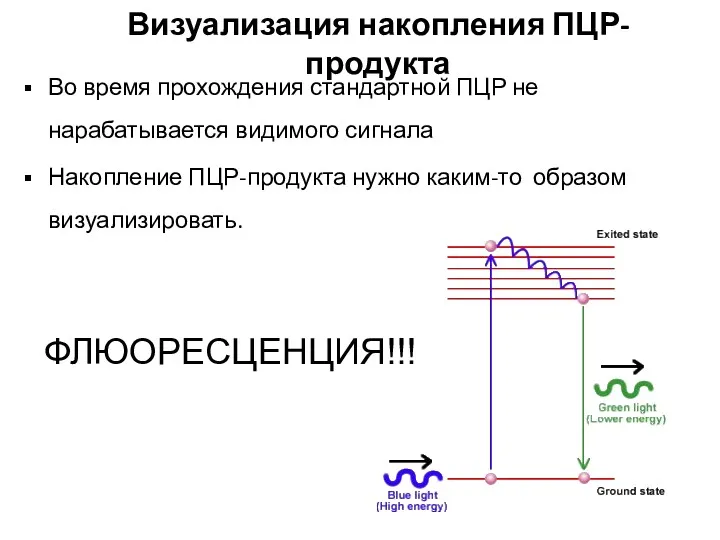 Во время прохождения стандартной ПЦР не нарабатывается видимого сигнала Накопление