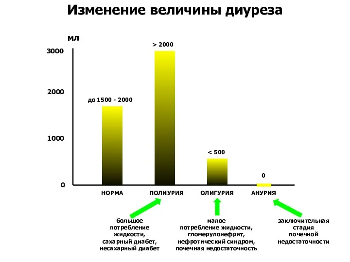 Изменение величины диуреза мл 3000 2000 1000 0 НОРМА до 1500 - 2000
