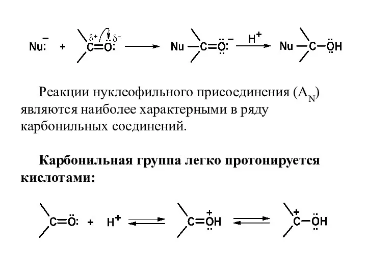 Реакции нуклеофильного присоединения (AN) являются наиболее характерными в ряду карбонильных соединений. Карбонильная группа легко протонируется кислотами: