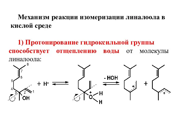 Механизм реакции изомеризации линалоола в кислой среде 1) Протонирование гидроксильной группы способствует отщеплению
