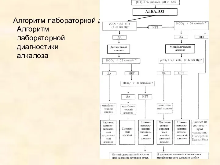 Алгоритм лабораторной диагностики алкалоза Алгоритм лабораторной диагностики алкалоза