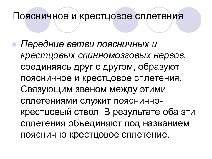 Поясничное и крестцовое сплетения Передние ветви поясничных и крестцовых спинномозговых