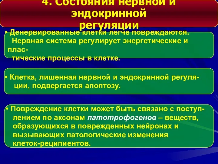 4. Состояния нервной и эндокринной регуляции Денервированные клетки легче повреждаются.