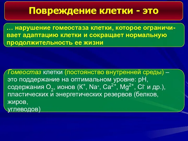 Повреждение клетки - это … нарушение гомеостаза клетки, которое ограничи-