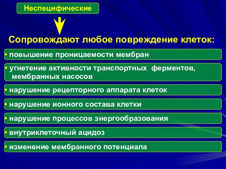 Сопровождают любое повреждение клеток: Неспецифические повышение проницаемости мембран угнетение активности