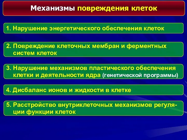 Механизмы повреждения клеток 1. Нарушение энергетического обеспечения клеток 2. Повреждение