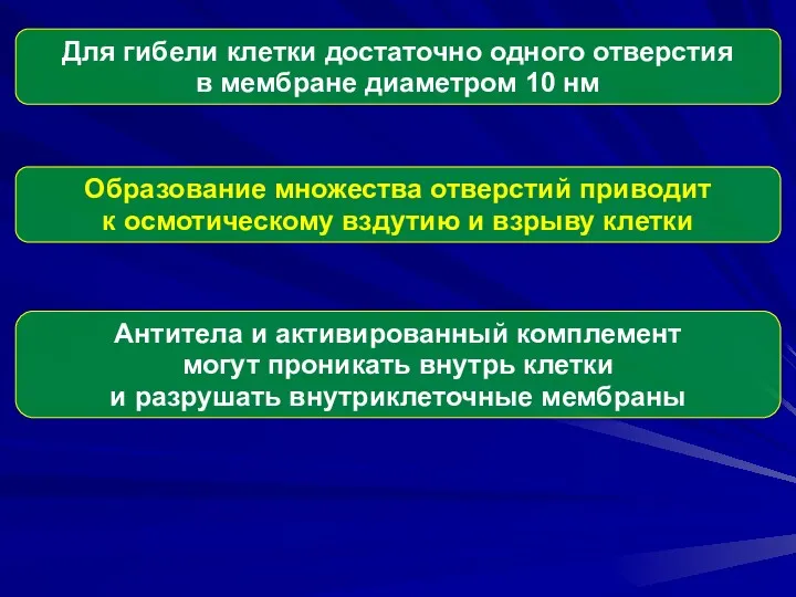 Для гибели клетки достаточно одного отверстия в мембране диаметром 10