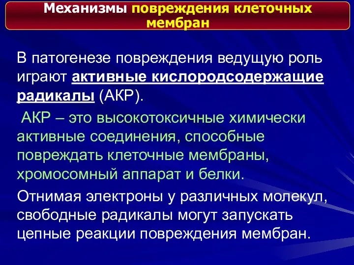 В патогенезе повреждения ведущую роль играют активные кислородсодержащие радикалы (АКР).