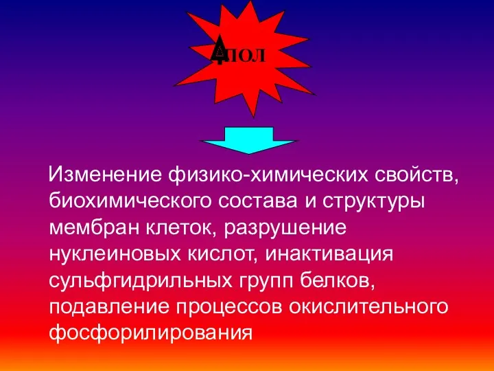 Изменение физико-химических свойств, биохимического состава и структуры мембран клеток, разрушение