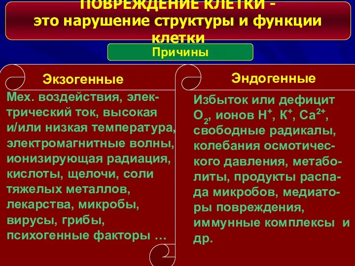 ПОВРЕЖДЕНИЕ КЛЕТКИ - это нарушение структуры и функции клетки Причины