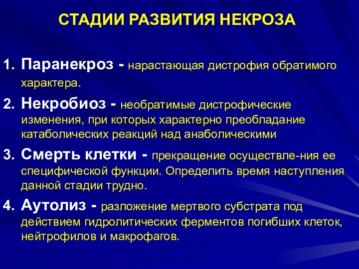 СТАДИИ РАЗВИТИЯ НЕКРОЗА Паранекроз - нарастающая дистрофия обратимого характера. Некробиоз