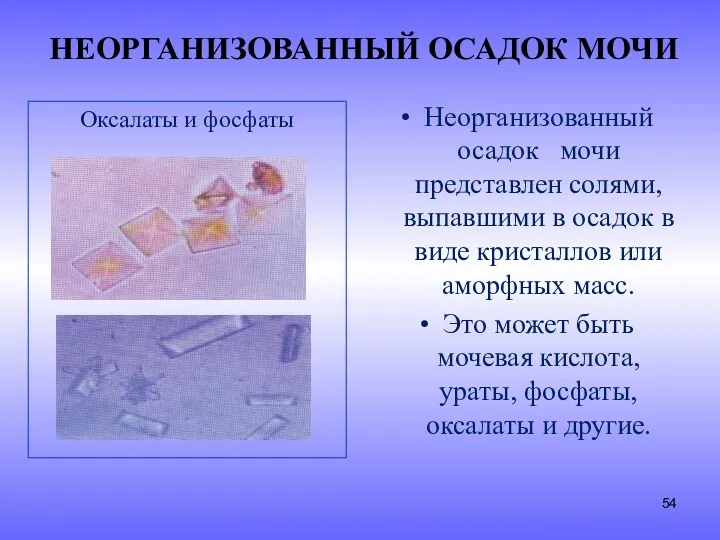 НЕОРГАНИЗОВАННЫЙ ОСАДОК МОЧИ Оксалаты и фосфаты Неорганизованный осадок мочи представлен