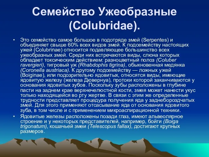 Семейство Ужеобразные (Colubridae). Это семейство самое большое в подотряде змей