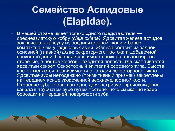 Семейство Аспидовые (Elapidae). В нашей стране имеет только одного представителя