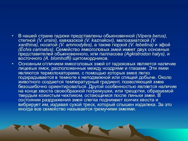 В нашей стране гадюки представлены обыкновенной (Vipera berus), степной (V.