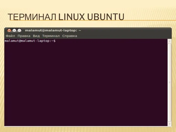 ТЕРМИНАЛ LINUX UBUNTU