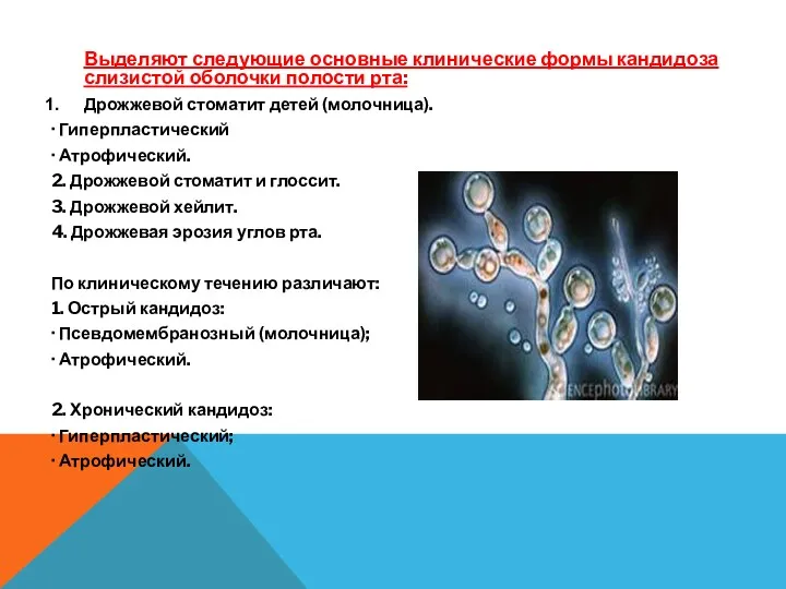 Выделяют следующие основные клинические формы кандидоза слизистой оболочки полости рта: