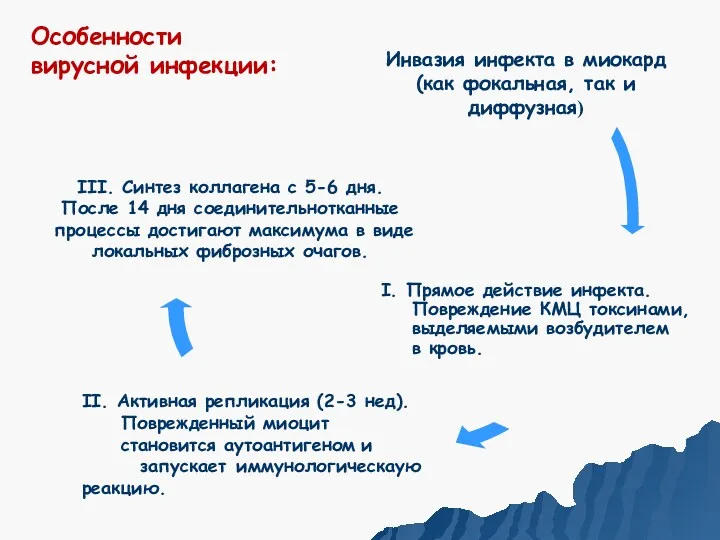 Инвазия инфекта в миокард (как фокальная, так и диффузная) Особенности вирусной инфекции: