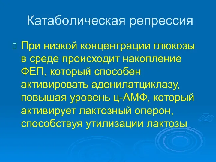 Катаболическая репрессия При низкой концентрации глюкозы в среде происходит накопление