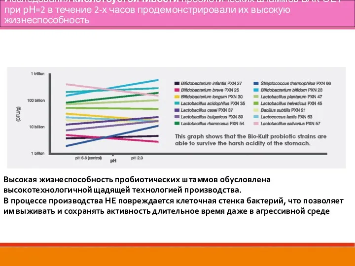 Исследования кислотоустойчивости пробиотических штаммов БАК-СЕТ при рН=2 в течение 2-х