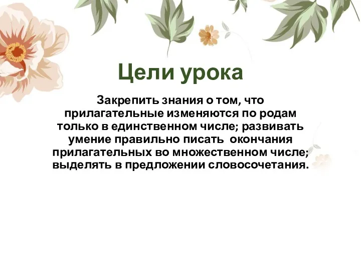 Цели урока Закрепить знания о том, что прилагательные изменяются по